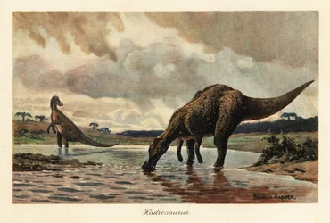 Hadrosaures ou dinosaures à bec de canard se nourrissant dans une rivière