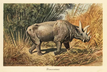 Uintatherium anceps dans une clairière de jungle