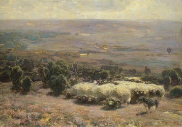 Un troupeau de moutons dans la lande de Lunebourg, 1902