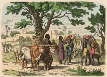 Égypte antique : Agriculture et chasse
