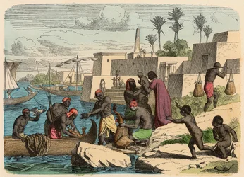Égypte antique : Pêche