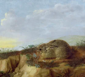 Un lièvre dans un paysage