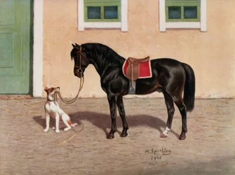 Cheval, cheval noir d