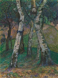 Bouleaux au Barkenhoff