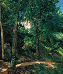 Terrains du château à Lichtenberg dans l