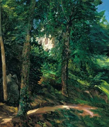 Terrains du château à Lichtenberg dans l