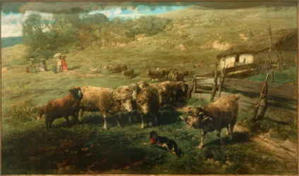 Moutons à la barrière