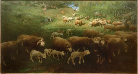 Troupeau de moutons avec agneaux