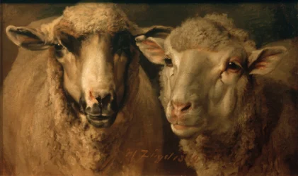 Deux moutons