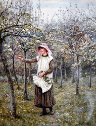 Temps de floraison