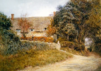 Nourrir les colombes