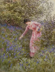 Cueillette de jacinthes