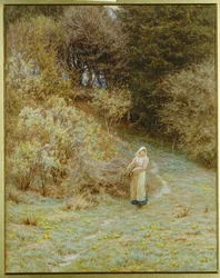 Dans le bois de primevères