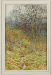 Notre bois de primevères