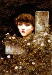 Chagrin - Une rose sauvage
