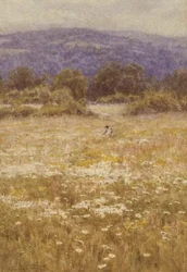 Fleurs d