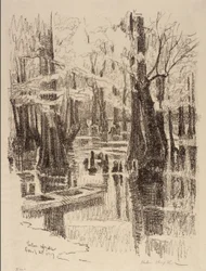 Marais de Cyprès