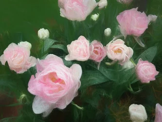 Lit de roses
