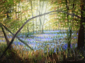 Clairière de fleurs bleues, 2024 (huile sur toile)
