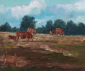Vaches en pâturage, 2008
