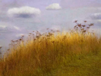 À la dérive
