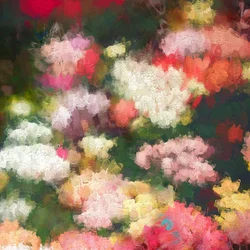 Jardin du cœur, 2018