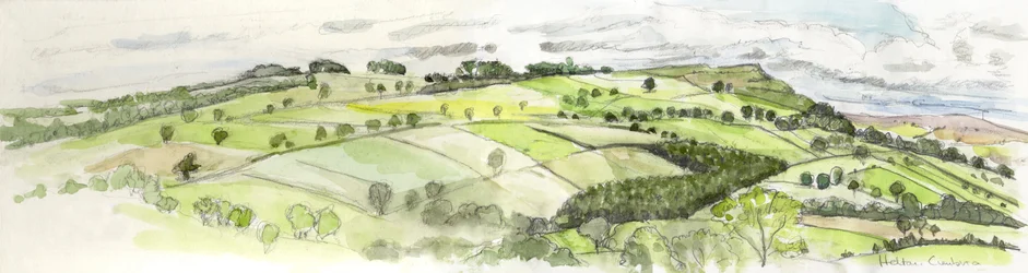 Panorama de Helton, 2010