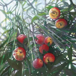 Nouvelle lumière sur Eden, 2016