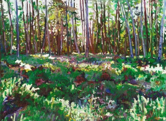 Lumière du Soleil sur la Bruyère