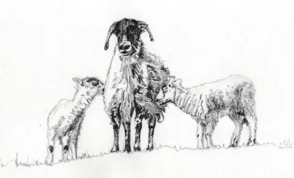 We Three, 2012