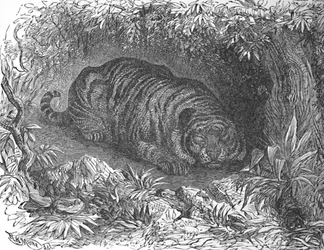 Une sieste après le dîner, vers 1900