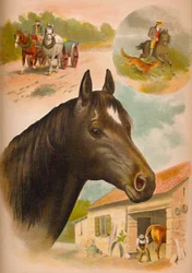 Le Cheval, vers 1900