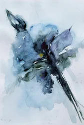 Fleur aquarelle bleue