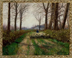Troupeau de moutons