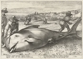 Baleine échouée sur la plage de Zandvoort, 1594