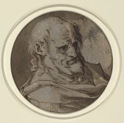 Tête d