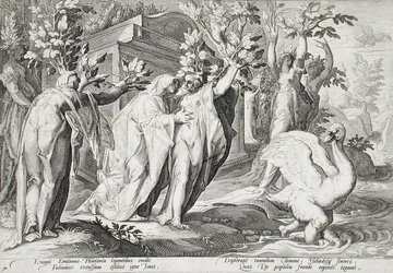Les sœurs de Phaéton changées en peupliers, et Cygnus en cygne