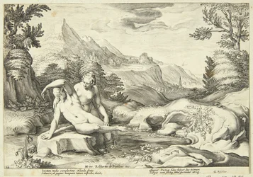Salmacis et Hermaphrodite