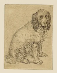 Chien d