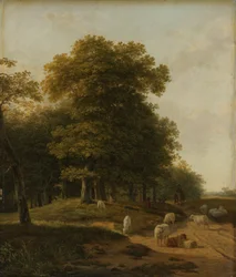 Paysage de Gueldre