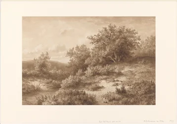 Paysage avec ruisseau et buissons