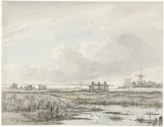 Paysage marécageux en dehors d