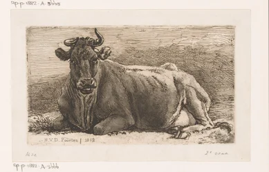 Vache couchée
