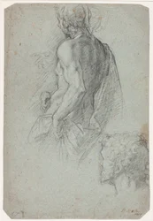 Modèle masculin drapé et tête d