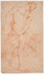 Étude de modèle masculin, debout