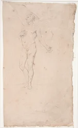 Étude de modèle masculin, debout