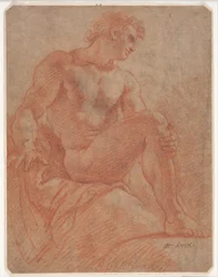 Modèle masculin assis