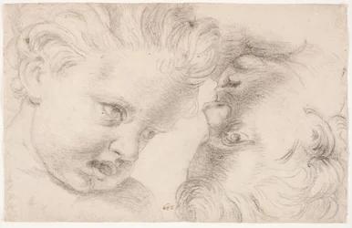 Deux têtes d