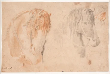 Deux têtes de chevaux et une tête d