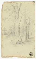 Homme Assis Sous les Arbres